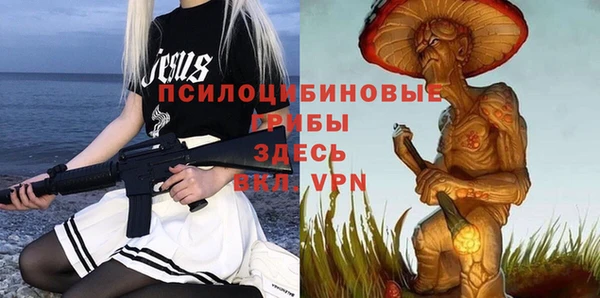 гидра Баксан