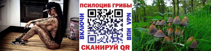 Галлюциногенные грибы прущие грибы  Новый Уренгой 